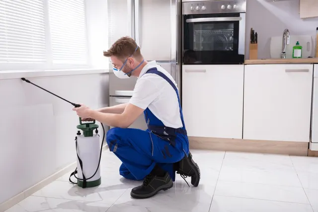 residential pest control 2