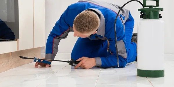 residential pest control